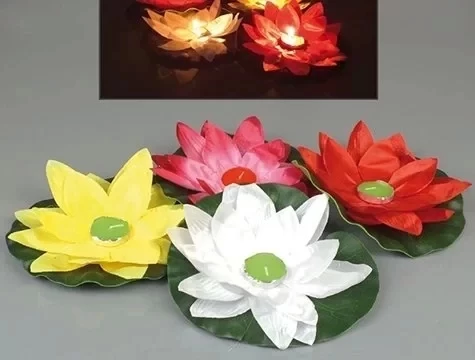 Nilüfer Su Feneri - Resim 2