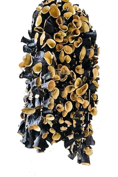 ASUDE Dolmalık Patlıcan Kurusu 1 Dizi 45 - 50 Adet - Resim 2