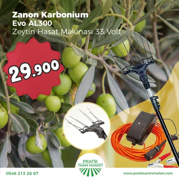 Zanon Karbonium Evo AL300 33 V Zeytin Hasat Makinesi - 2