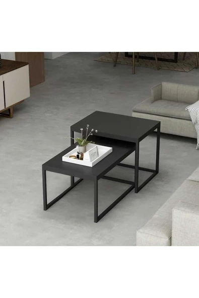 anka design  Carina Zigon - 2