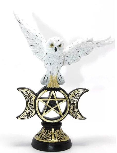 Polyester Baykuş Alk2351 ürün görseli