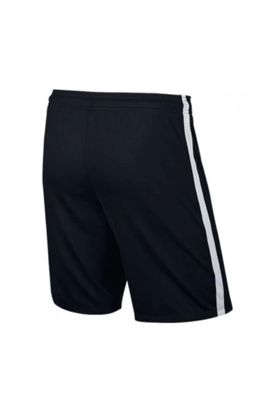 Nike  Dry Academy18 cepli şort - 2