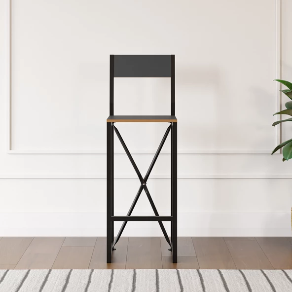 Eportatif Bar Sandalyesi Mutfak Sandalyesi Otel Cafe Sandalye Füme 1566 - 3