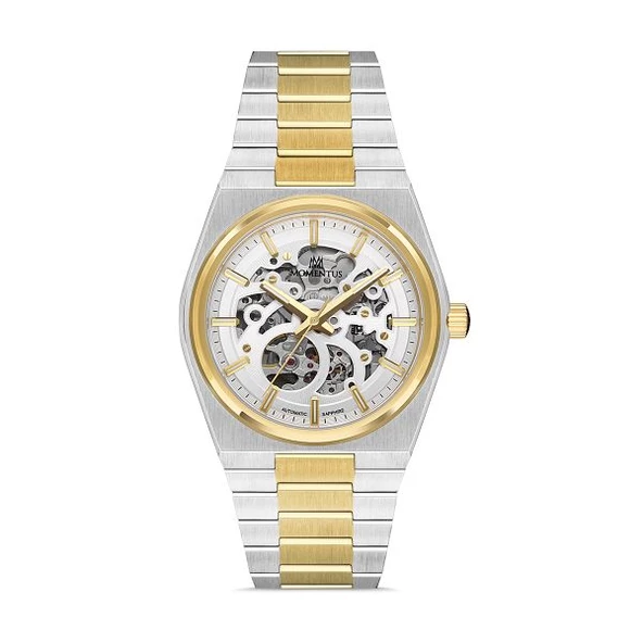 TM346T-16SG MOMENTUS MEN'S TİME MASTERS KOL SAAT