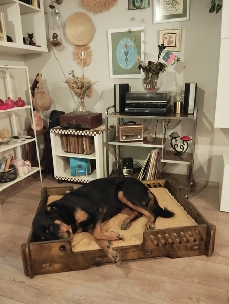 ED PET DİZAYN Bilbao Kedi Köpek Yatağı 70x100 Ceviz Renk.18 mm Kontroplak Şık Tasarım - 2