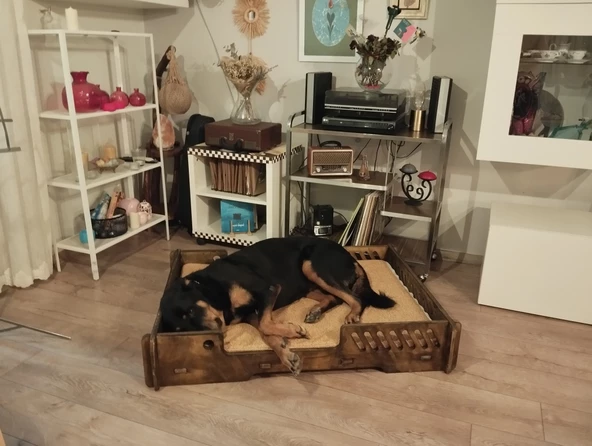 ED PET DİZAYN Bilbao Kedi Köpek Yatağı 70x100 Ceviz Renk.18 mm Kontroplak Şık Tasarım