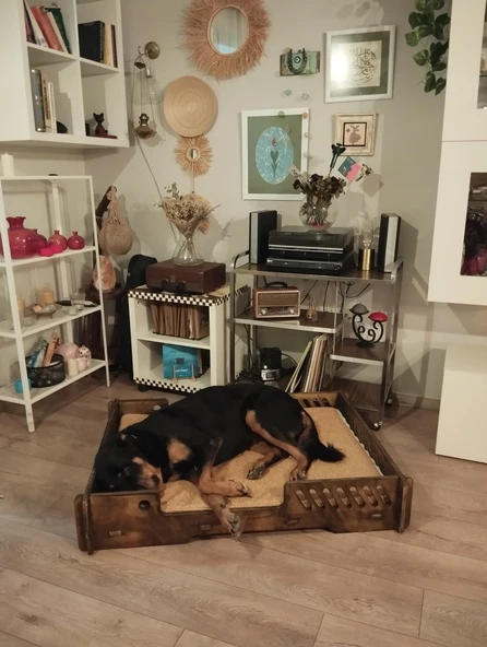 ED PET DİZAYN Bilbao Kedi Köpek Yatağı 70x100 Ceviz Renk.18 mm Kontroplak Şık Tasarım - 3