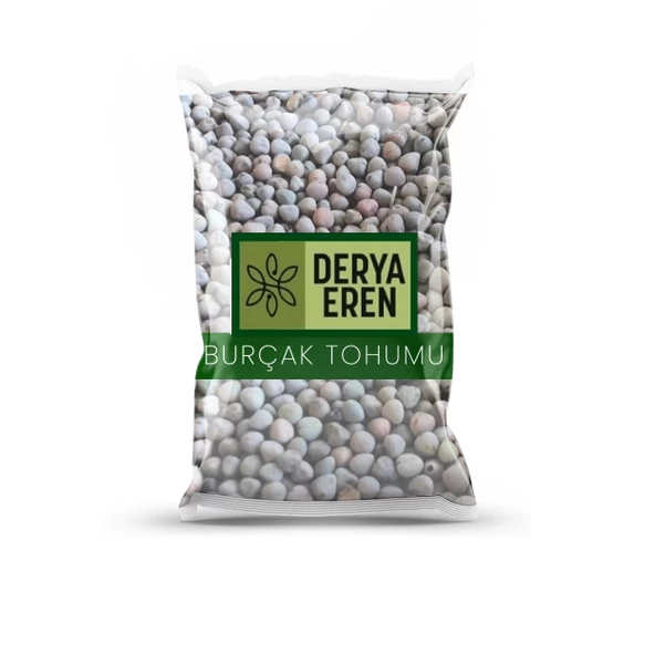 Burçak Tohumu Lathyrus 1 kg, Derya Eren