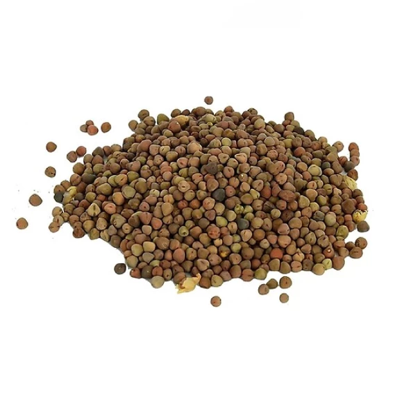 Burçak Tohumu Lathyrus 500 gr, Derya Eren - 2