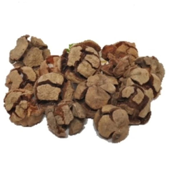 Selvi (Servi) Kozalağı 1 kg, Derya Eren - 2