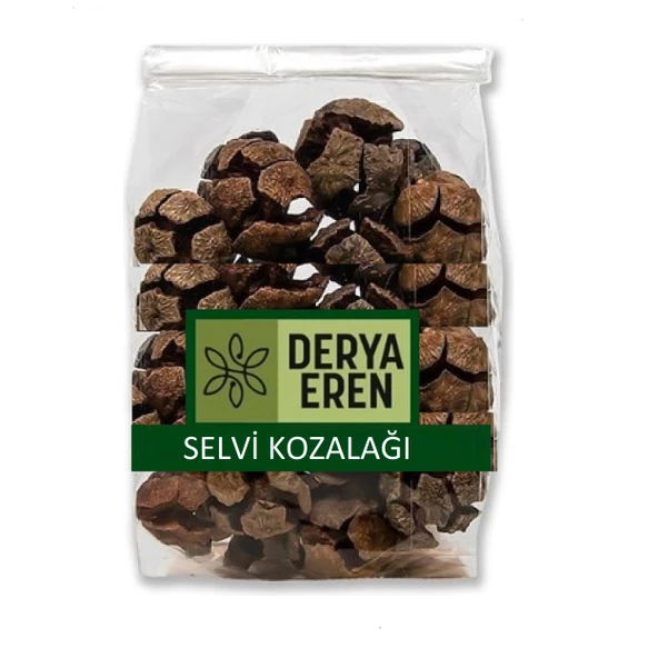Selvi (Servi) Kozalağı 500 gr, Derya Eren