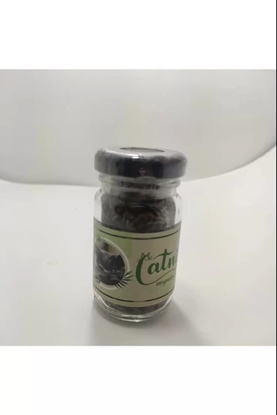 Catnip Doğal Kedi Otu - Kedi Nanesi - Resim 4