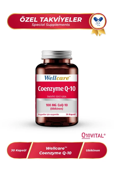 Wellcare Coenzyme Q10 100 Mg 30 Kapsül