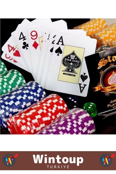 Premium Kilit Sistemli Suni Deri Çantalı 300 Çip Çift Desteli Blackjack Texas Holdem Casino Poker - 4