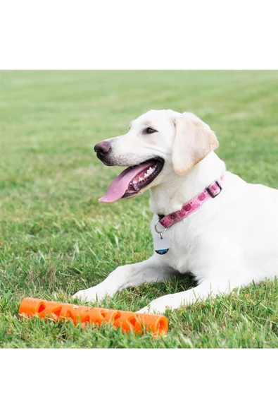 Chuckit Köpek Oyuncağı ! Air Fetch Stick (büyük Boy) - Resim 3