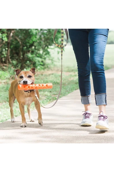 Chuckit Köpek Oyuncağı ! Air Fetch Stick (büyük Boy) - Resim 2