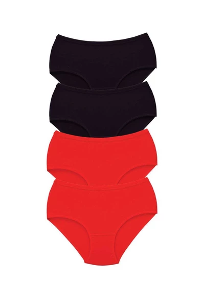 4 Adet Tutku Kadın Yüksek Bel Bato Kalın Lastik Külot S1 ürün görseli