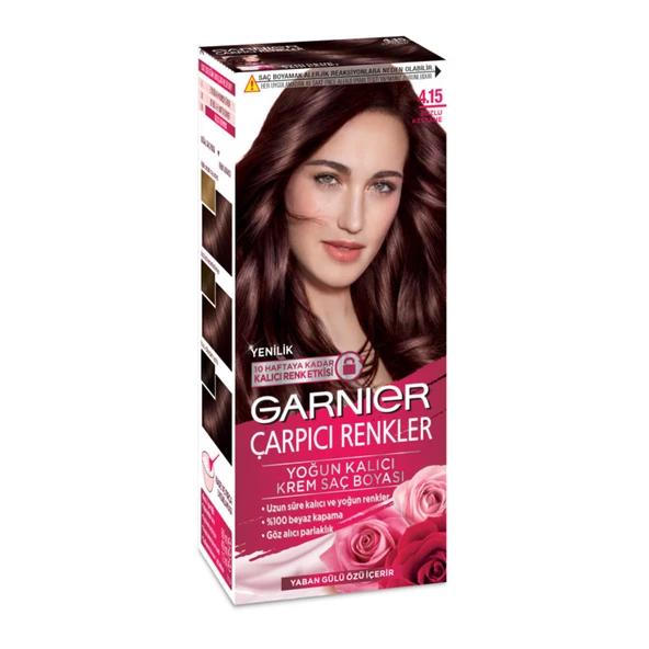 Garnier Çarpıcı Renkler Krem Saç Boyası - 4.15 Buzlu Kestane