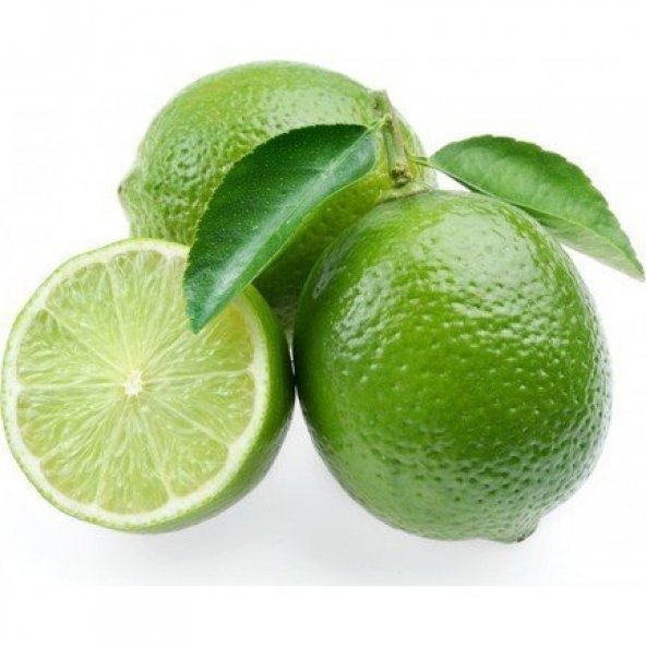 5 Yaş Aşılı Lime (Meksika) Limonu Fidanı, Saksıda