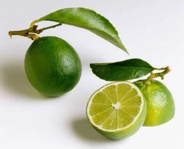 3 Yaş Aşılı Dikensiz Mexican Lime Fidanı, Torbada ürün görseli 1