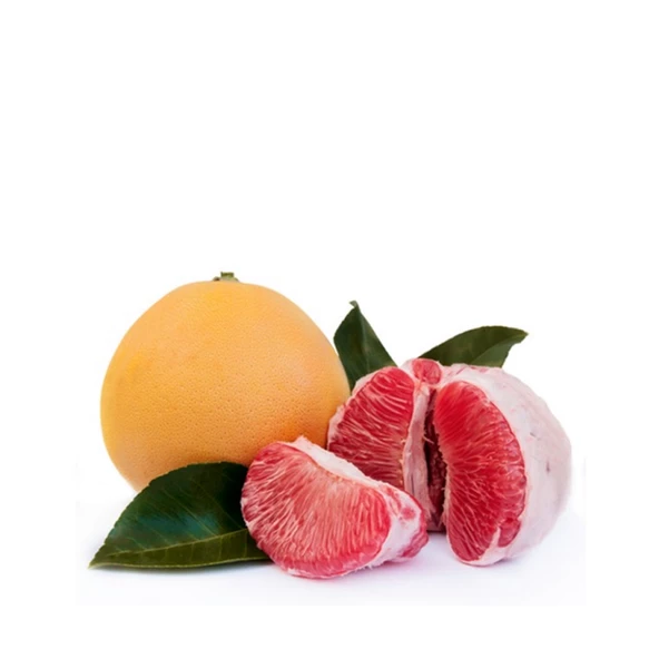 4 Yaş Aşılı Ağaç Kavunu Fidanı, Saksıda ürün görseli