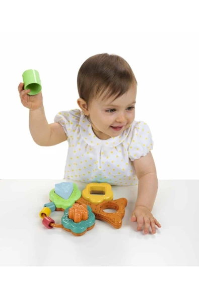 Chicco Baobab Şekil Bulma Oyuncağı 6 Ay+ - 4