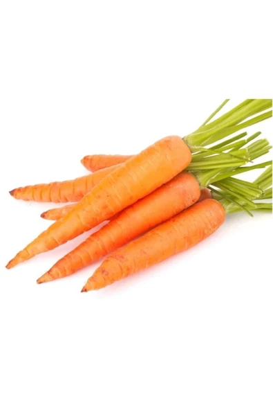 Sarı Havuç Tohumu 10 Gr - Resim 2