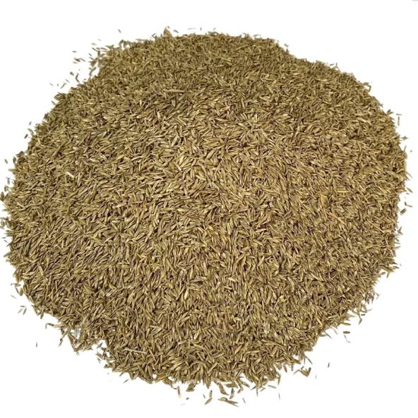 Çim Tohumu Yedili karışım 1 kg, Derya Eren - 3