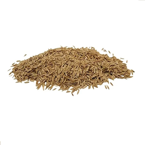 Çim Tohumu Yedili karışım 1 kg, Derya Eren - 2