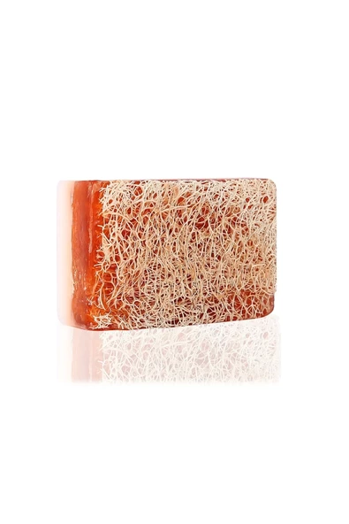 Doğal Kabak Lifli Eşek Sütü Sabunu - Resim 3