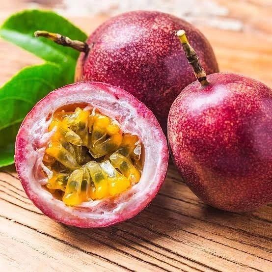 Aşılı, İri Taneli Mor Pasiflora (Alp1071), Saksıda - 1