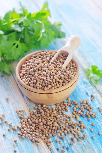 Kişniş Çekilmiş Toz Deluxe Seri Organik Lezzetli 250 Gr - Resim 3