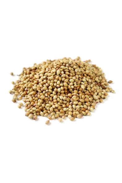 Kişniş Çekilmiş Toz Deluxe Seri Organik Lezzetli 250 Gr - Resim 2