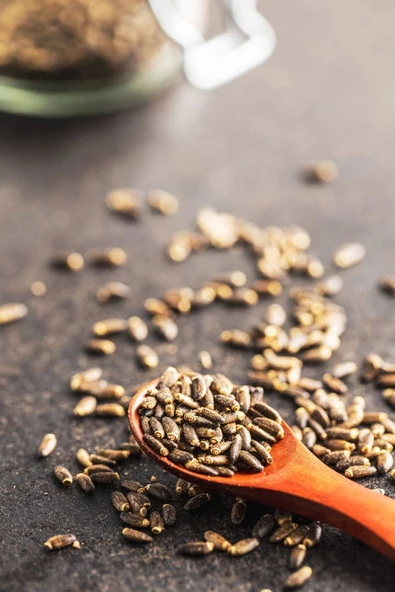 Deve Dikeni Tohumu Deluxe Seri Organik Lezzetli 250 Gr - Resim 3