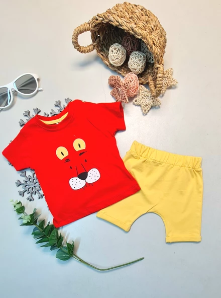 Erkek Bebek Yazlık Kısa Kol Şort Takımlar - 2