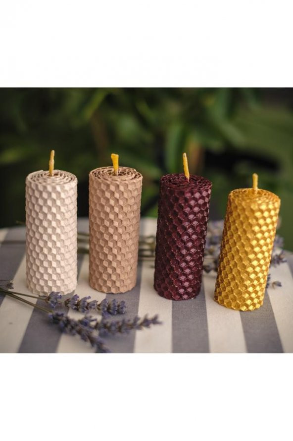 Zariass Balmumu Burç Seri Aslan Burcu 4 lü Kutulu