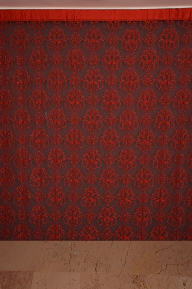 ÖRÜMCEK  MODEL KIRMIZI RENK İP PERDE HAZIR DÜĞMELERİ DİKİLMİŞ İP PERDE 300*270 cm - Resim 9