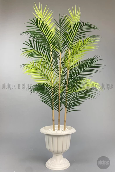 BİÇİÇEK 125cm Areka Ağacı 24 yapraklı Nergiz Saksıda