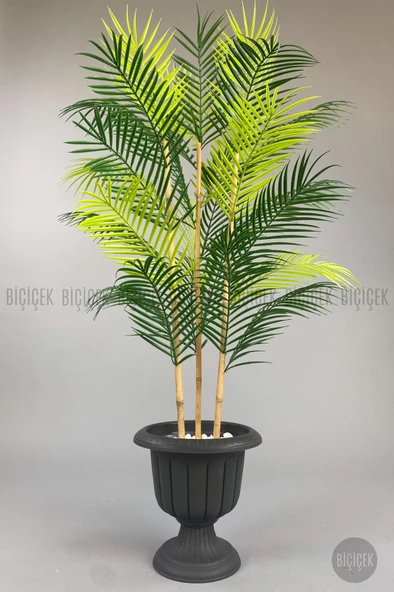 BİÇİÇEK 125cm Areka Ağacı 24 yapraklı Nergiz Saksıda - 11