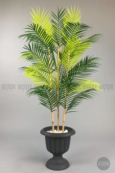 BİÇİÇEK 125cm Areka Ağacı 24 yapraklı Nergiz Saksıda - 7