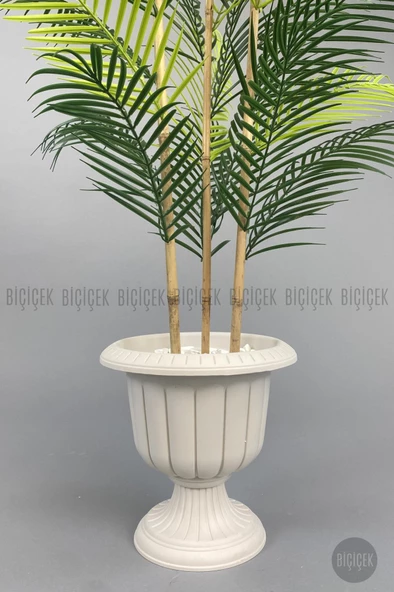 BİÇİÇEK 125cm Areka Ağacı 24 yapraklı Nergiz Saksıda - 3