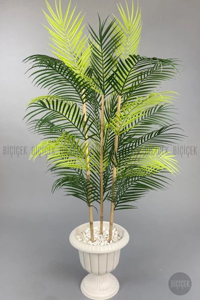 BİÇİÇEK 125cm Areka Ağacı 24 yapraklı Nergiz Saksıda - 5
