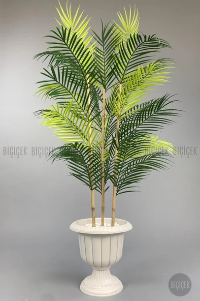 BİÇİÇEK 125cm Areka Ağacı 24 yapraklı Nergiz Saksıda - 6