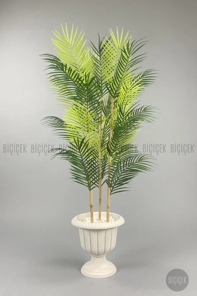 BİÇİÇEK 125cm Areka Ağacı 24 yapraklı Nergiz Saksıda - 2