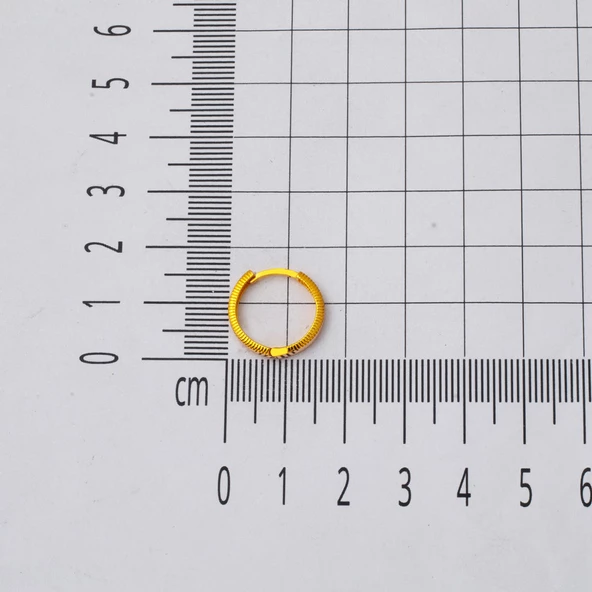 Ajda Orta Boy Halka Altın Küpe 14 Ayar - 4