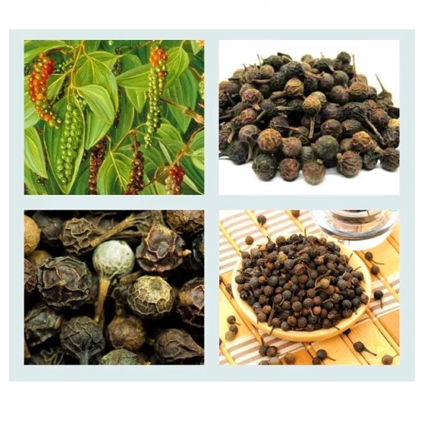 Kebabiye, Kebabe, Fructus Cubebae 250 gr, Derya Eren - 5
