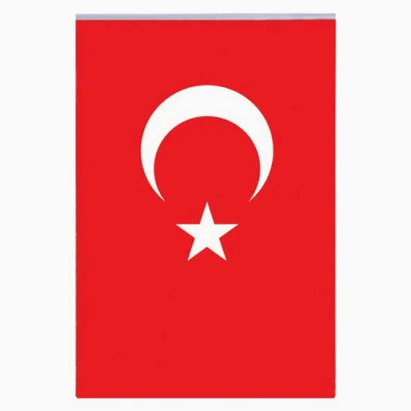 Vatan Bayrak Türk Bayrağı 40x60 cm Polyester Kumaş