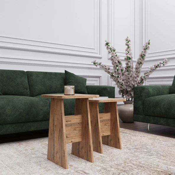 ED PET DİZAYN 2 Lİ SEHPA YAN SEHPA ZİGON SEHPA SUNUM SEHPASI SERVİS SEHPASI H SEHPA - 3