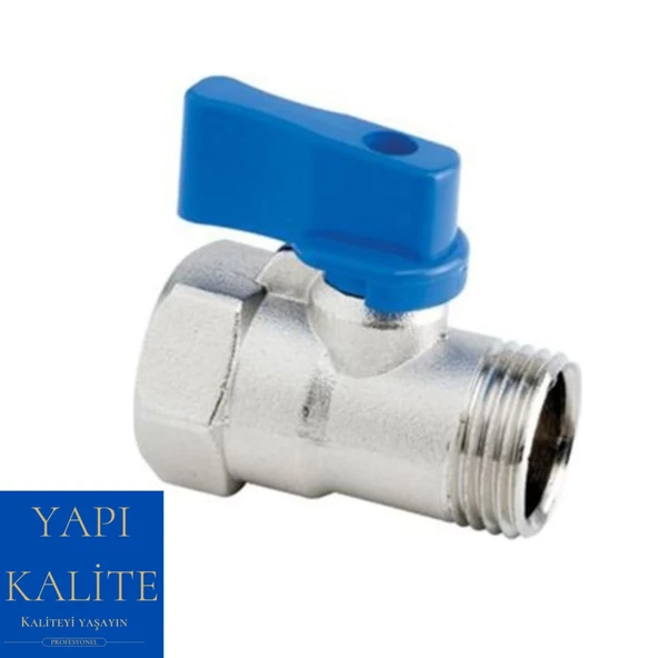 Mini Küresel Vana Erkek 3/4 - Resim 2