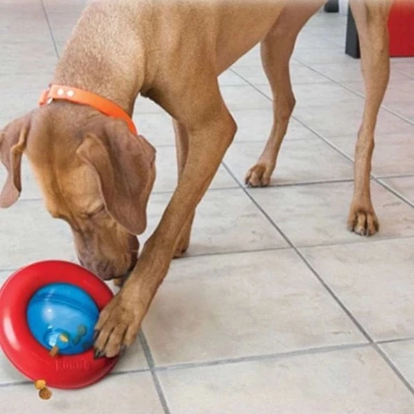 Kong Gyro Ödüllü İnteraktif Oyuncak Large 17 Cm - Resim 3